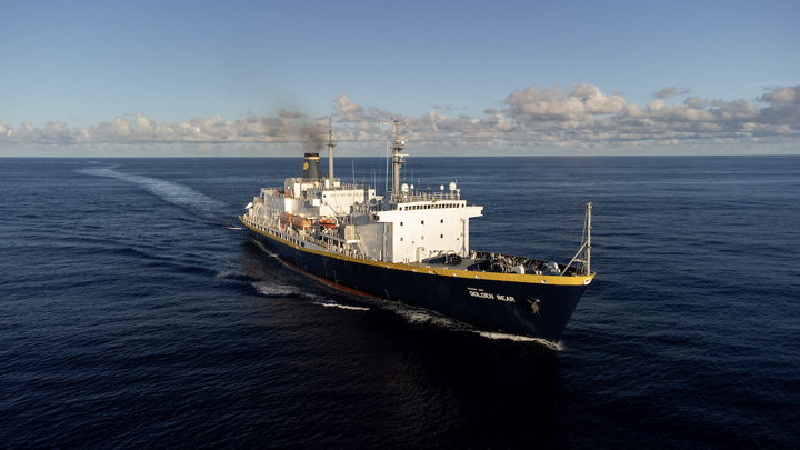 the golden bear at sea