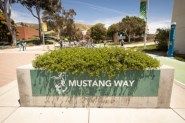 cal poly an luis obispo acceptance rate 2022