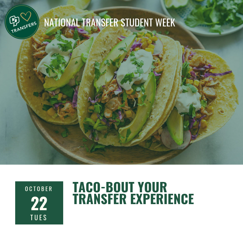 Taco-bout your transfer experience image