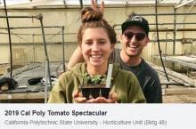 Girl Holding Tomato Plant