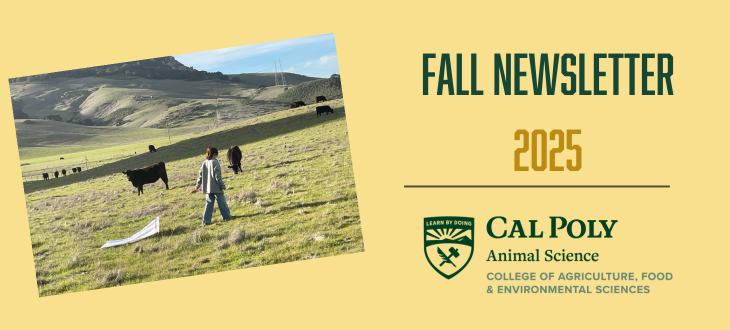 A photo of a student pulling a felt screen across green grass in a pasture is laid on a yellow background with the words "Fall Newsletter 2025 Cal Poly Animal Sciences Department"