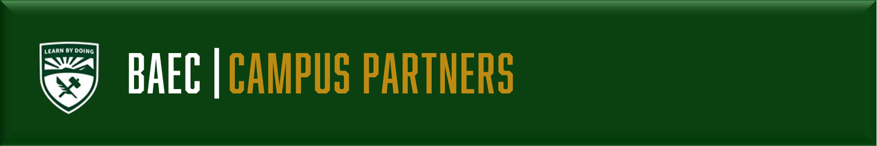 BAEC - Affinity & Support Groups