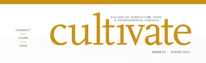 Cultivate Magazine cover title