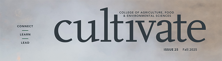 Cultivate Magazine cover title