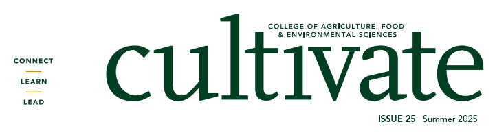 Cultivate Magazine cover title