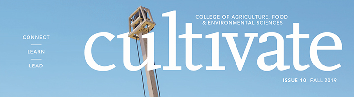 Cultivate Magazine cover title