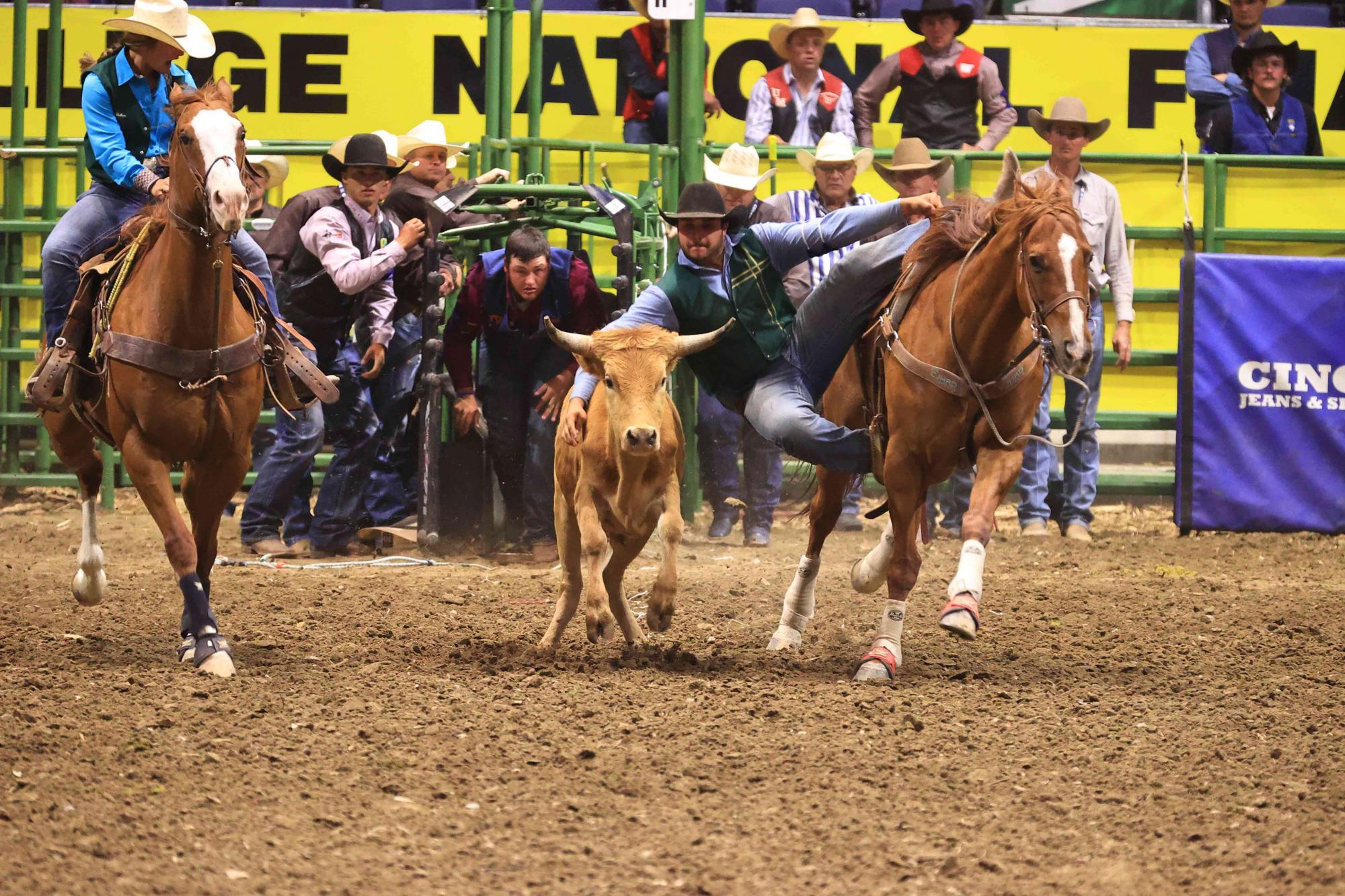 Cal Poly Rodeo Team Advances To National Finals College Of 