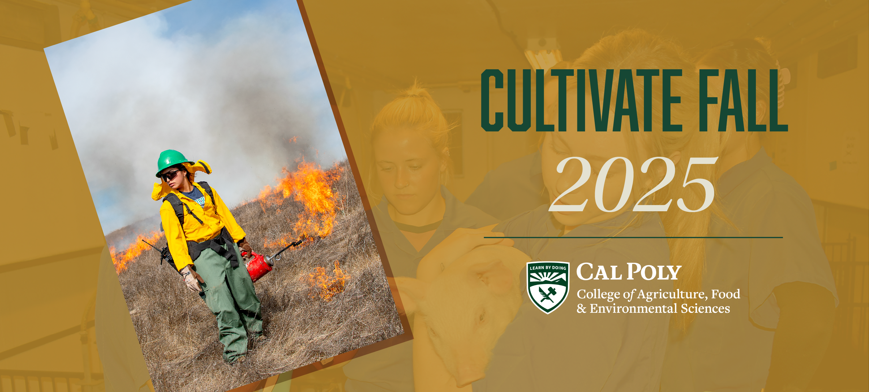 A photo of at student fighting a fire is inlaid on a yellow background with the words "Cultivate Fall 2025 Cal Poly College of Agriculture, Food and Environmental Sciences