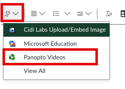 Plug Icon > Panopto Video