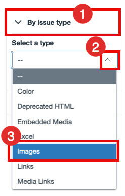 UDOIT, by issue type, Image filter