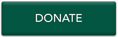 Donate button Donate button
