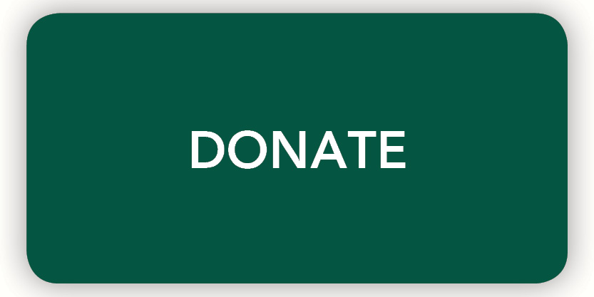 Donate button Donate button