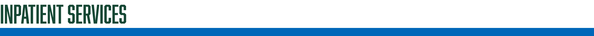 Inpatient Services 
