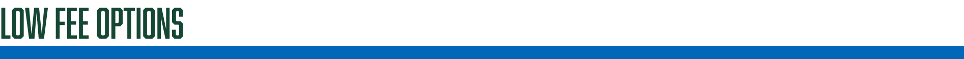 Low Fee Options 