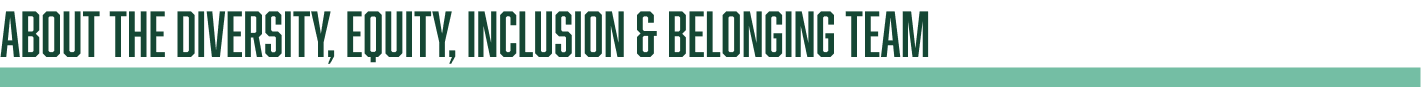 About the Diversity, Equity, Inclusion & Belonging Team