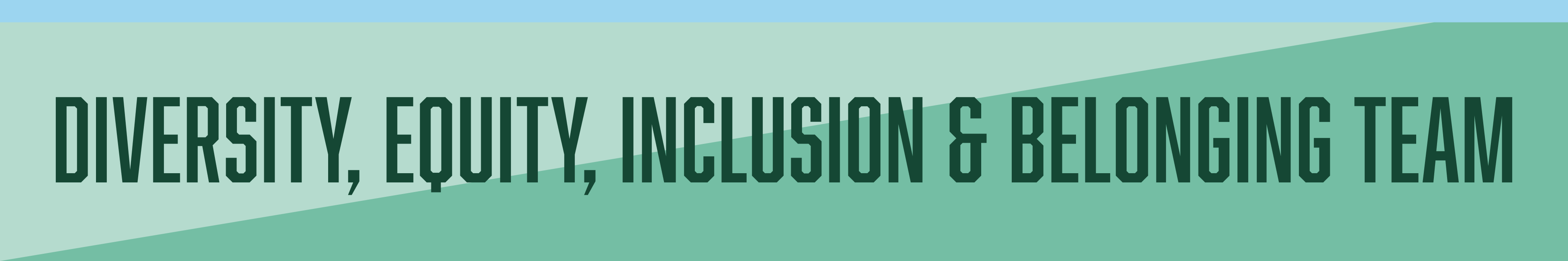 Diversity, Equity, Inclusion & Belonging Team
