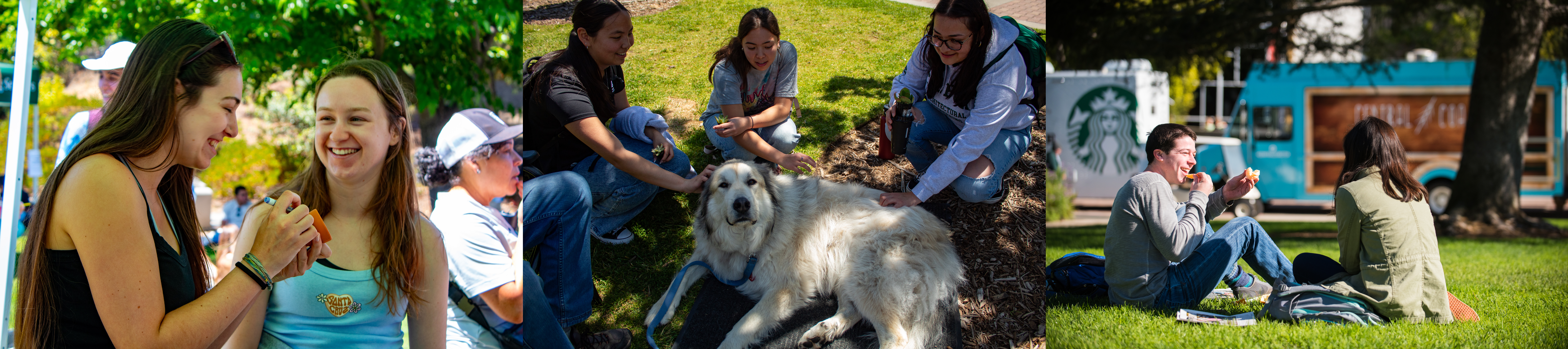 Students laughing and interacting on campus