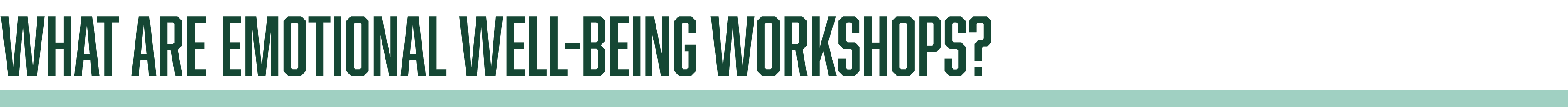 What are emotional well-being workshops