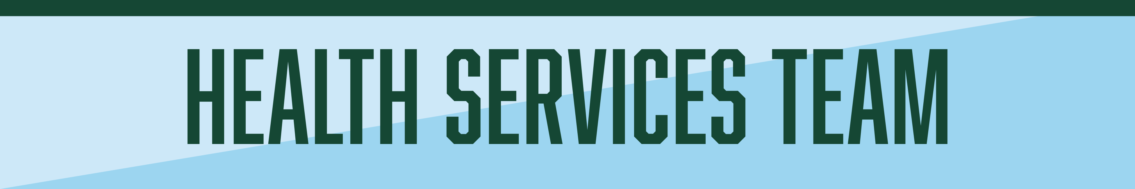 Health Services team header
