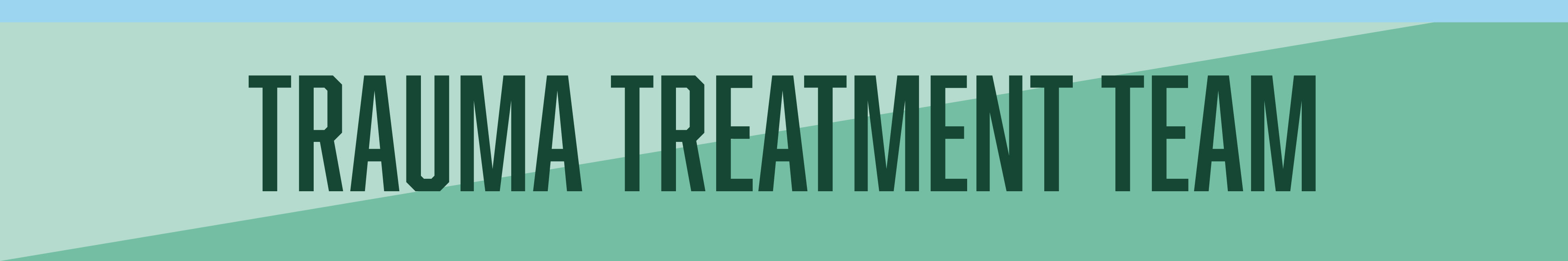trauma treatment team