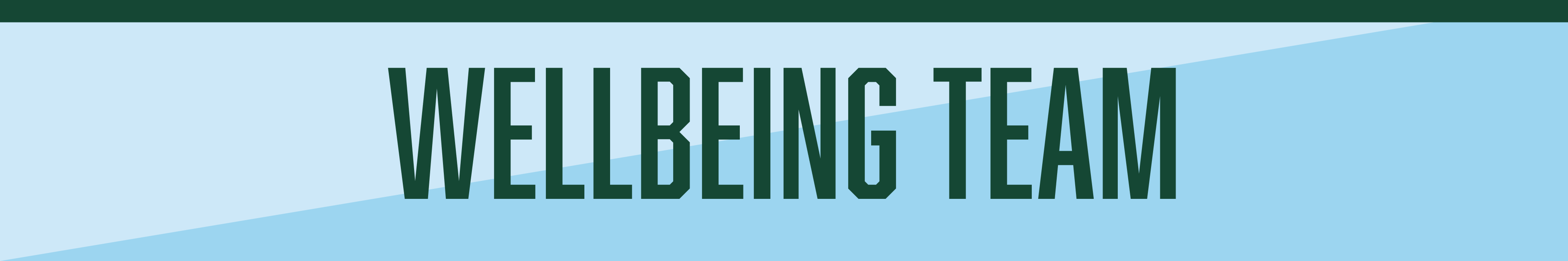 Wellbeing Team Header