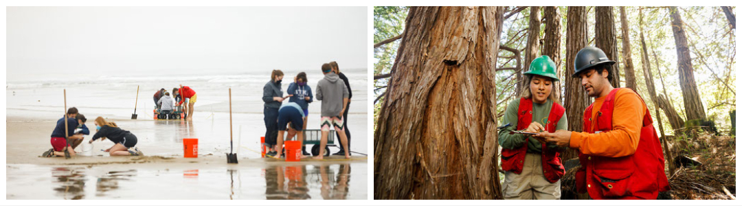 stock images. students participating in research activity. 