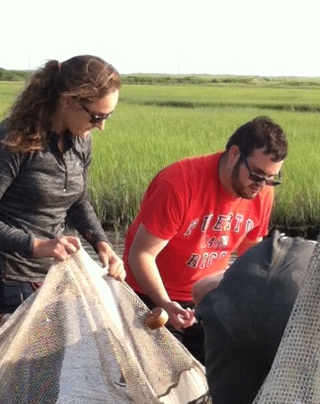 A woman and man use nets in a marsh area