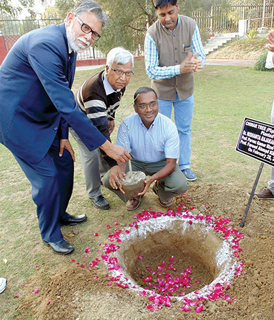 Nishi Rajakaruna (second from right) plants a Platanus orientalis (Old World Sycamore) sapling on the Aligarh Muslim University, India, campus.