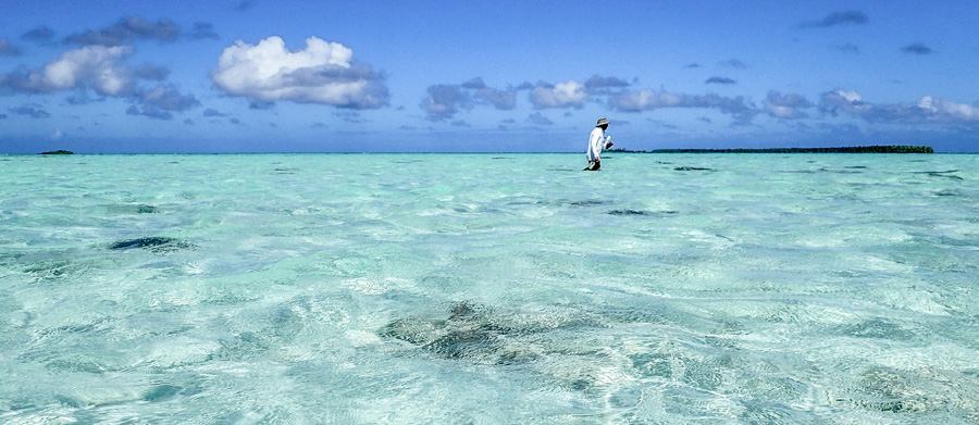 Bailey College professor scouts shallows in French Polynesia