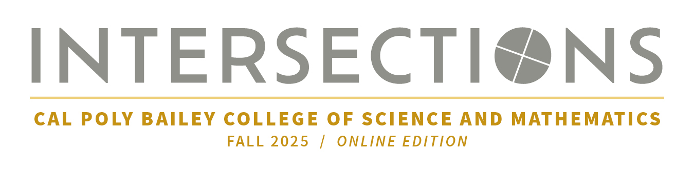 Bailey College Intersections Magazine 2025 masthead