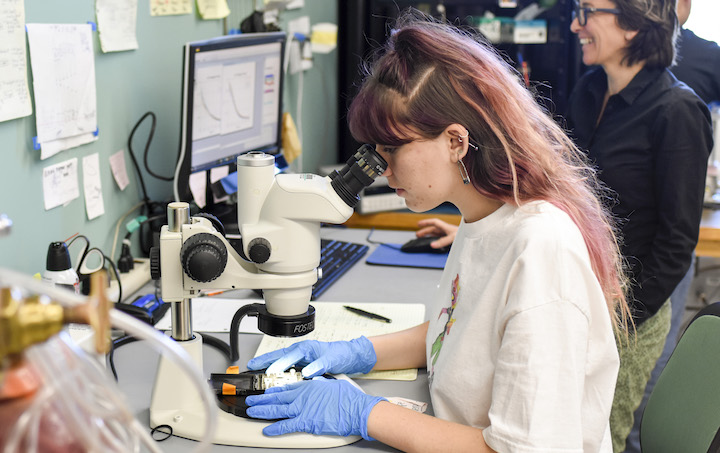 Marissa Dierkes analyzing a sample in lab