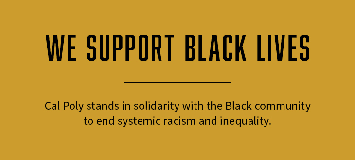 Solidarity statement
