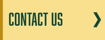 button to contact us section