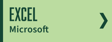 button to Excel section