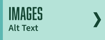 button to images and alt text section