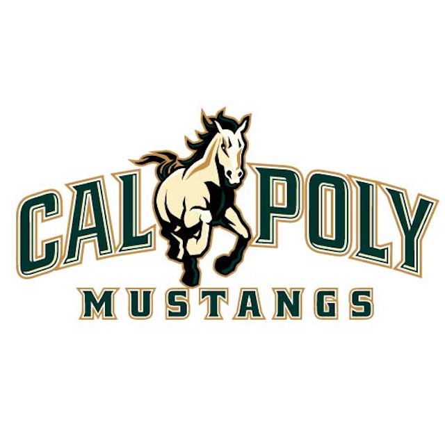 placeholder of cal poly mustang