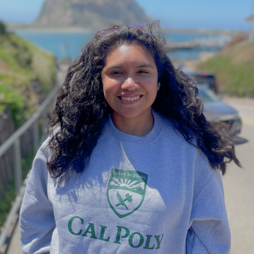 Lizvette Villafaña