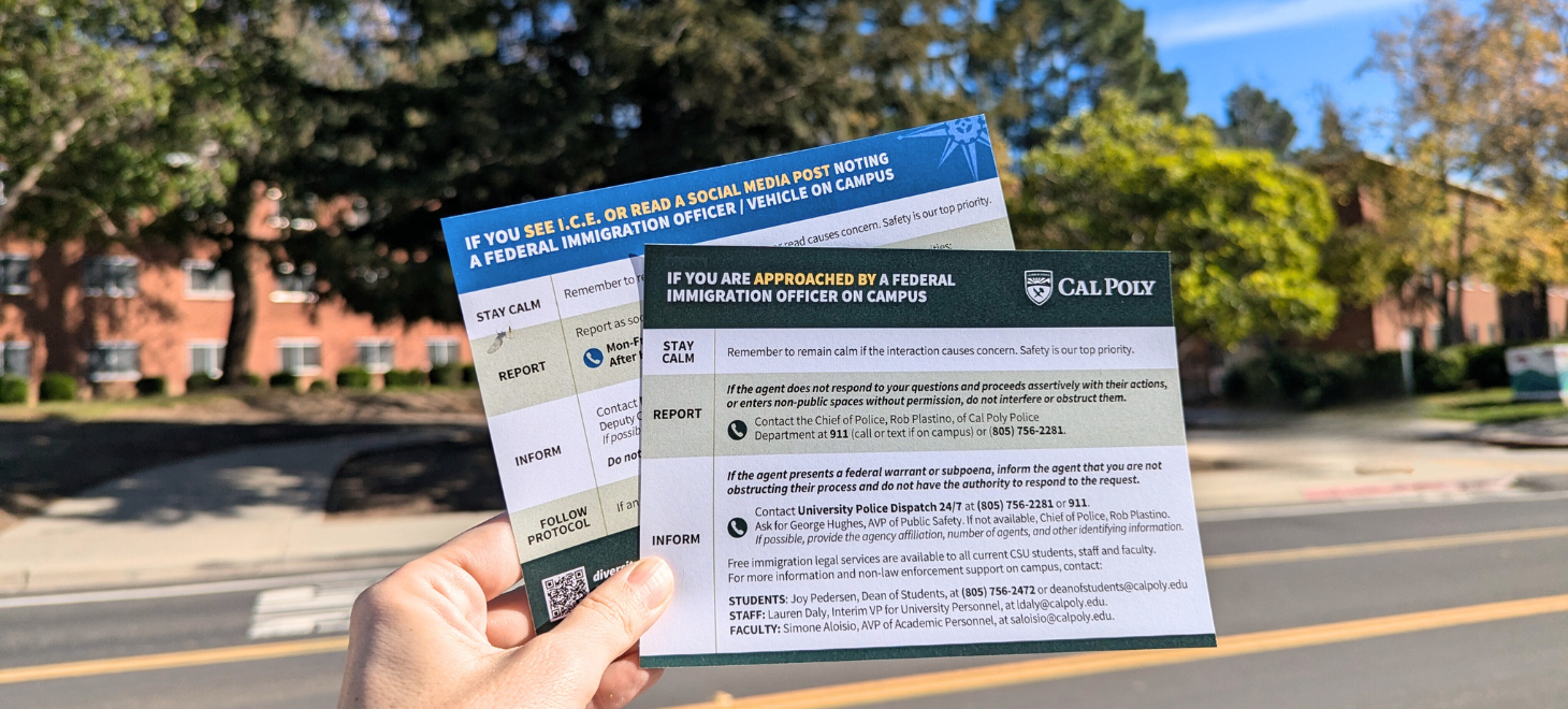 Photo of Postcards with Immigrations Response Protocol