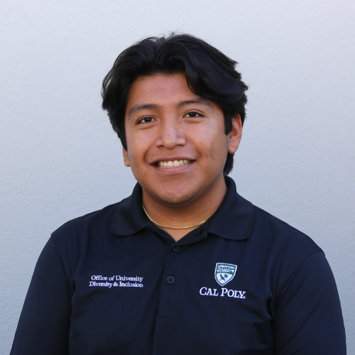 Issac Enrique Cervantes