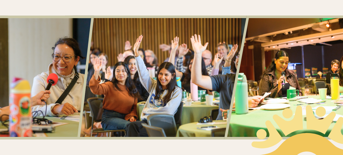 Collage of people engaging in workshops.