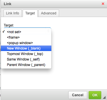 link dialog box for opening links in a new window