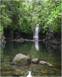 Picture of a waterfall in Fiji