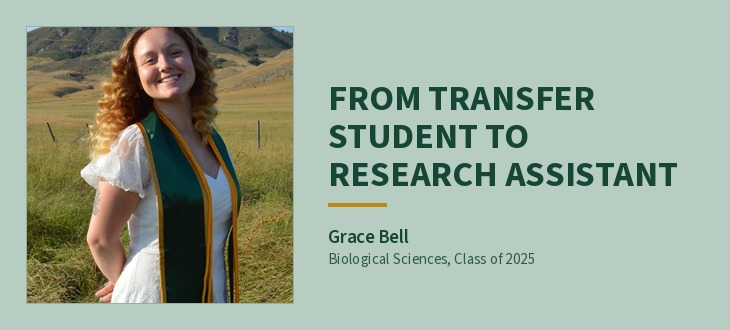 Grace Bell, Biological Sciences Class of 2025, in graduation regalia. Headline: From transfer student to research assistant.