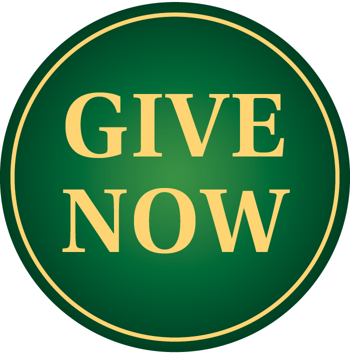 Give Now Button