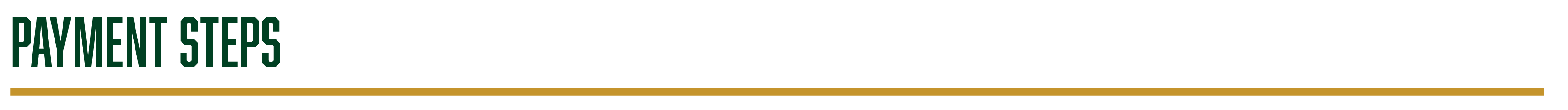 payment steps header
