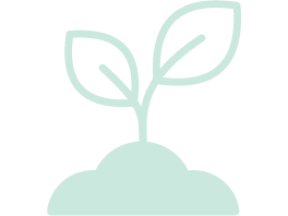 Sprouting plant icon