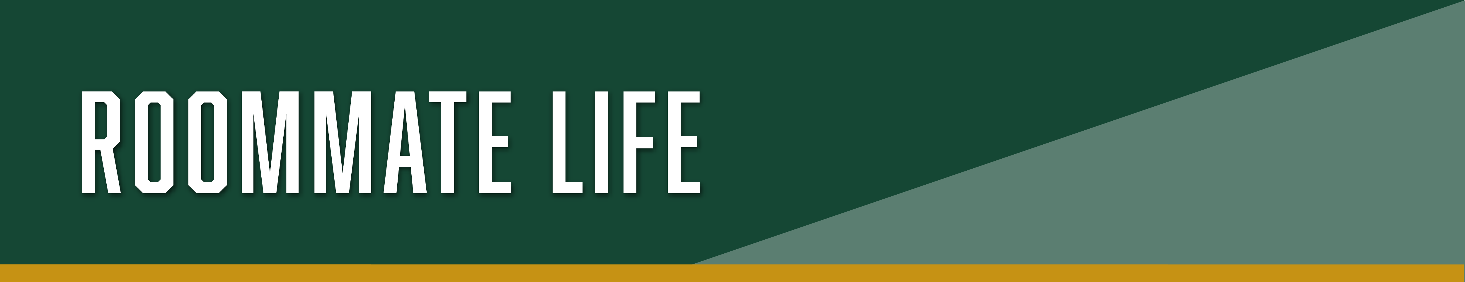 Roommate Life Banner