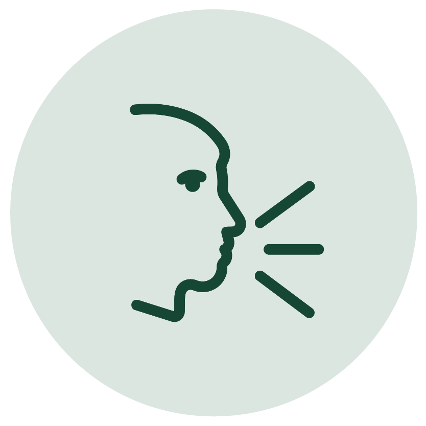 Say something icon