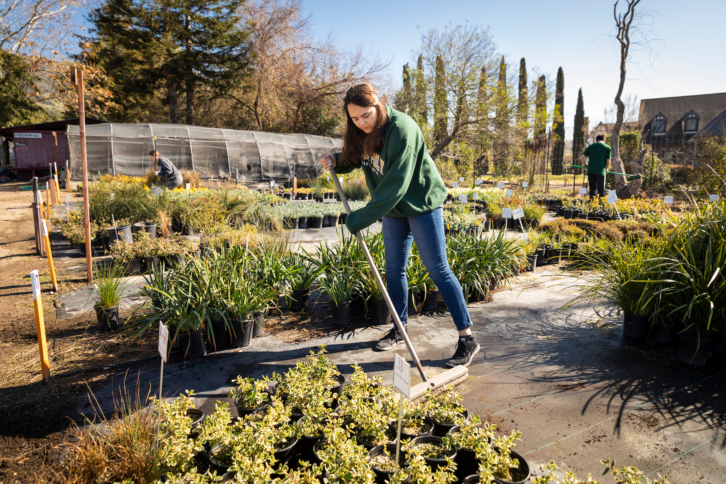 Student volunteering at Growing Grounds