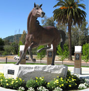 Giving to Cal Poly